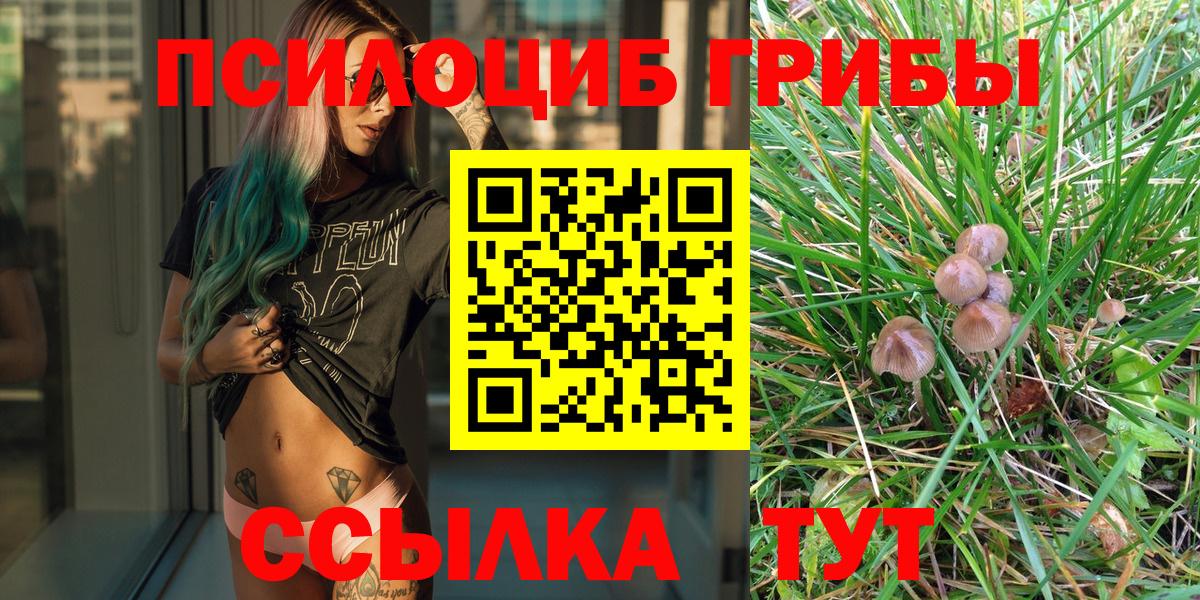 Галлюциногенные грибы Cubensis  Вход с VPN  Шали 